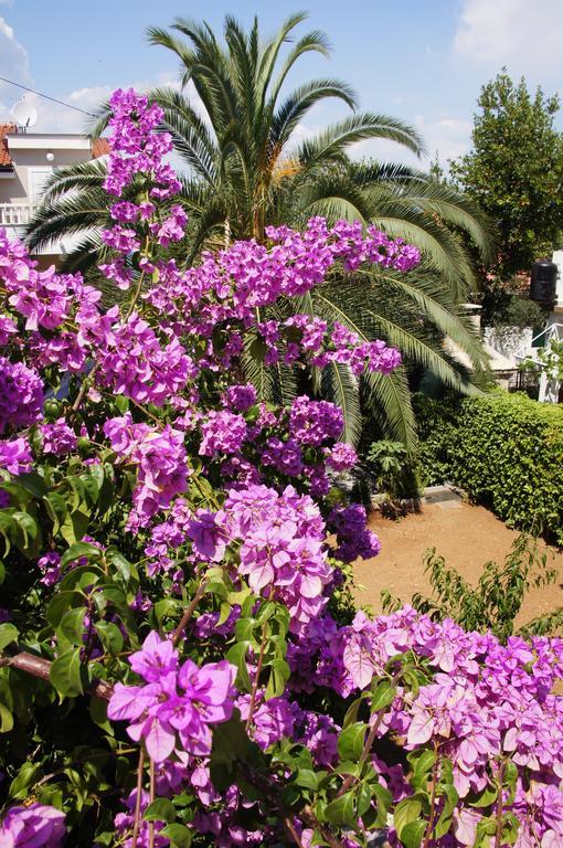 Villa Franda Трогир Экстерьер фото